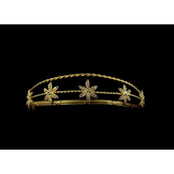 Tiara Bouvardia