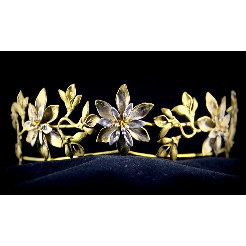 Tiara estilo silvestre