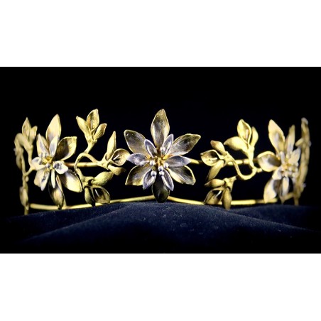 Tiara estilo silvestre